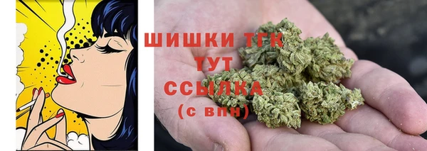 соль ск Бердск