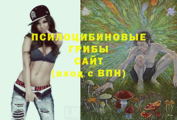 не бодяженный Артём