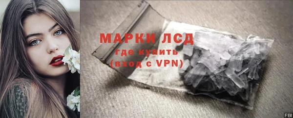 соль ск Бердск